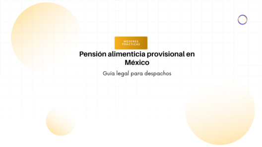 Hero banner with the title 'Pensión alimenticia provisional en México' and subtitle 'Guía legal para despachos', orange 'Mejores prácticas' badge above the text, light circular background shapes.