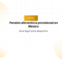 Hero banner with the title 'Pensión alimenticia provisional en México' and subtitle 'Guía legal para despachos', orange 'Mejores prácticas' badge above the text, light circular background shapes.